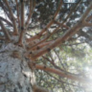 Meet your Posher, Zoe